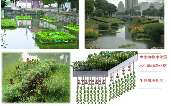 中山火炬開發(fā)區(qū)內(nèi)河涌綜合整治一期生態(tài)修復(fù)項(xiàng)目